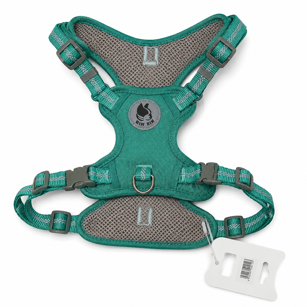 Bin Bin Teal Reflective Mesh Pet Harness